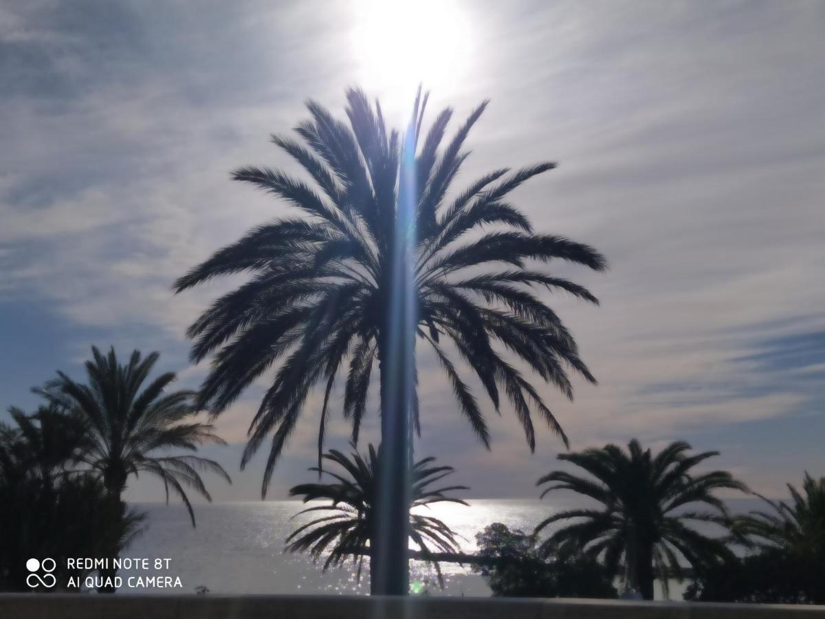 Le Camere Dei Fiori Sanremo Eksteriør bilde